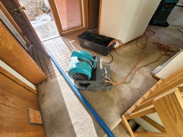 Best Water damage restoration company  in Greenwood, IN