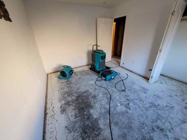 Best Basement water damage restoration  in Greenwood, IN