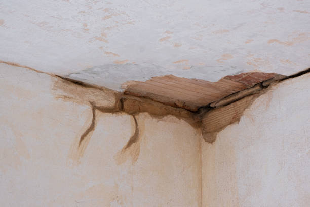 Best Water damage restoration near me  in Greenwood, IN