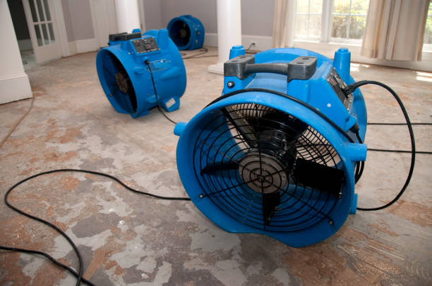 Best Commercial water damage restoration  in Greenwood, IN