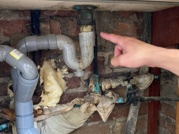 Best Local water damage restoration  in Greenwood, IN