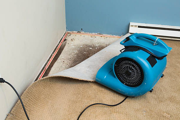 Best Residential water damage restoration  in Greenwood, IN